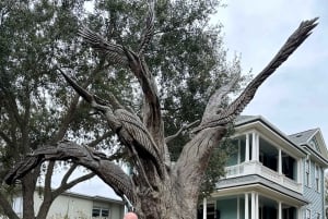 Houston : visite guidée du centre-ville et de l'île de Galveston