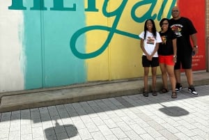 Houston : visite guidée du centre-ville et de l'île de Galveston