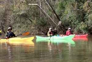 Houston: Luce Bayou-kajaksejlads