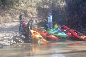 Houston: Luce Bayou-kajaksejlads