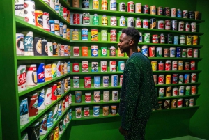 Houston: Meow Wolf - Radio Tave Ticket