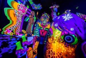 Houston: Meow Wolf - Radio Tave Ticket