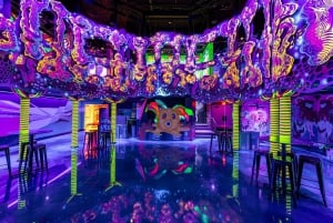 Houston: Meow Wolf - Radio Tave Ticket