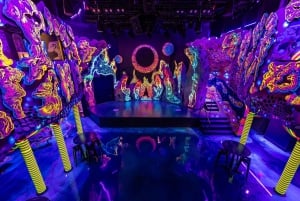 Houston: Meow Wolf - Radio Tave Ticket