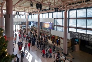 Houston Museum of Natural Science General Admission Ticket