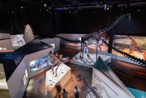 Houston Museum of Natural Science General Admission Ticket