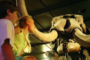 Houston Museum of Natural Science General Admission Ticket