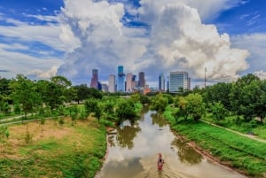 Houston: Excursión en Paddle Board
