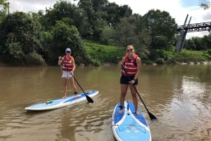 Houston: Excursión en Paddle Board