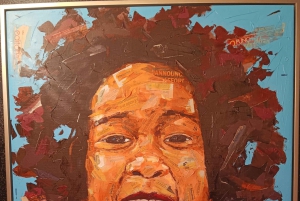 Houston: privé-tour van een halve dag met lunch