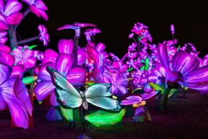 Houston: tickets voor de winterlichtshow Radiant Nature