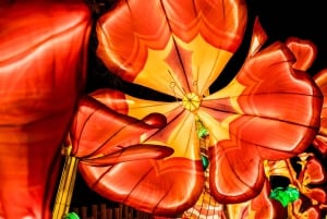 Houston: tickets voor de winterlichtshow Radiant Nature