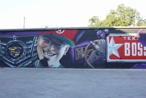 Houston: excursão turística