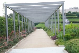 Houston: excursão turística