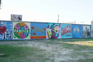 Houston: excursão turística