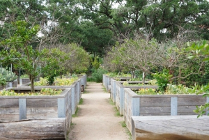 Houston: excursão turística