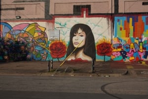 Houston: excursão turística