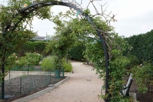 Houston: excursão turística