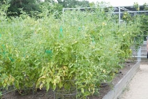 Houston: excursão turística