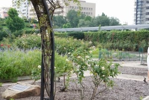 Houston: excursão turística