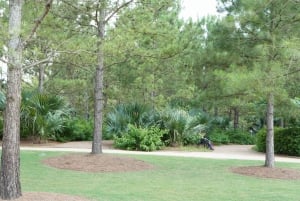 Houston: excursão turística