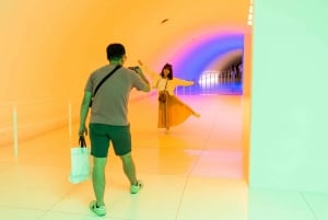 Biglietto d'ingresso al Museum of Fine Arts di Houston