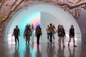 Biglietto d'ingresso al Museum of Fine Arts di Houston