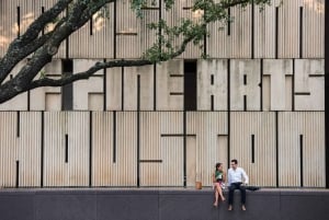 Biglietto d'ingresso al Museum of Fine Arts di Houston