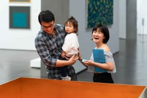 Biglietto d'ingresso al Museum of Fine Arts di Houston