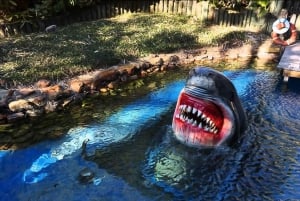 Visita a Houston e ingresso para o aquário