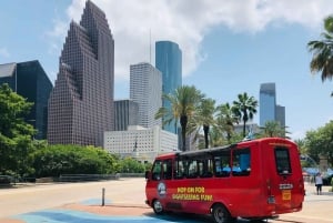 Visita a Houston e ingresso para o aquário