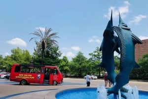 Visita a Houston e ingresso para o aquário