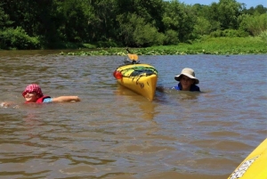 San Jacinto River | Stream Geomorphology Field Trip