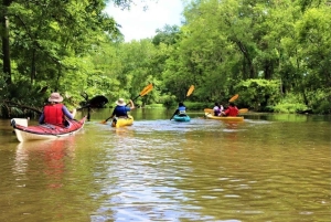 San Jacinto River | Stream Geomorphology Field Trip