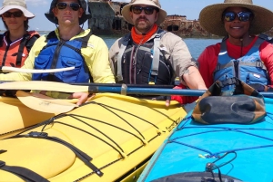 Relitto concreato di SS Selma - Punto di riferimento storico della prima guerra mondiale