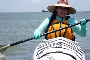 Relitto concreato di SS Selma - Punto di riferimento storico della prima guerra mondiale