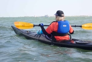 Relitto concreato di SS Selma - Punto di riferimento storico della prima guerra mondiale