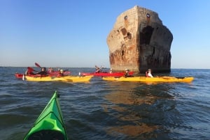 Relitto concreato di SS Selma - Punto di riferimento storico della prima guerra mondiale