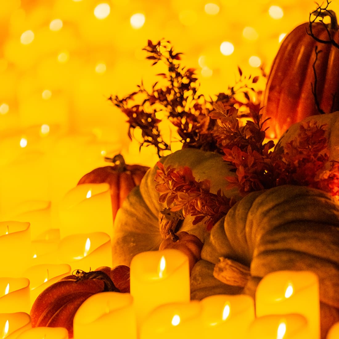 Candlelight: Een Spookachtige Avond van Halloween Klassiekers
