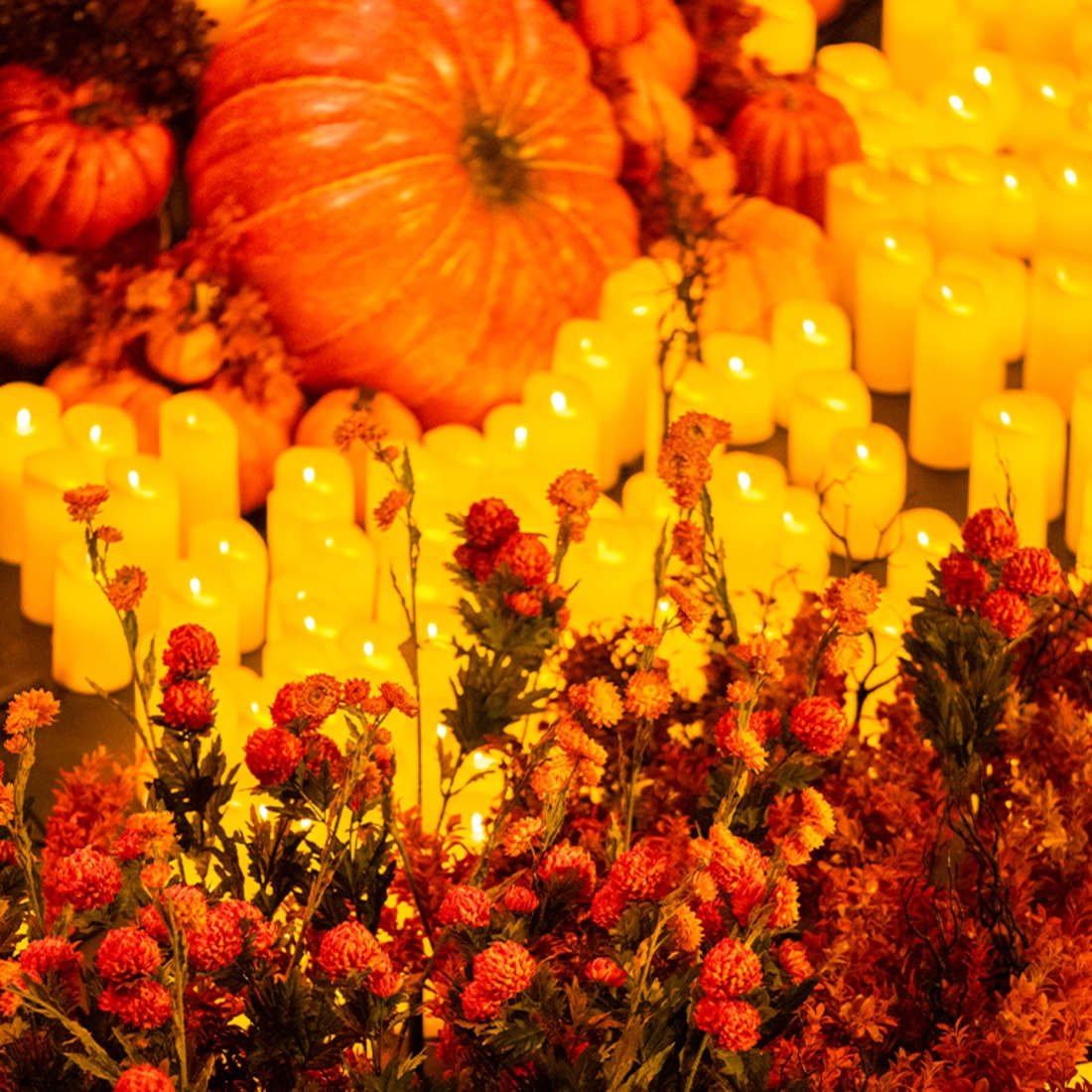 Candlelight: Clássicos de Halloween