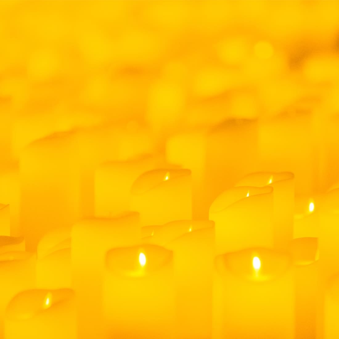 Candlelight: Las Cuatro Estaciones de Vivaldi