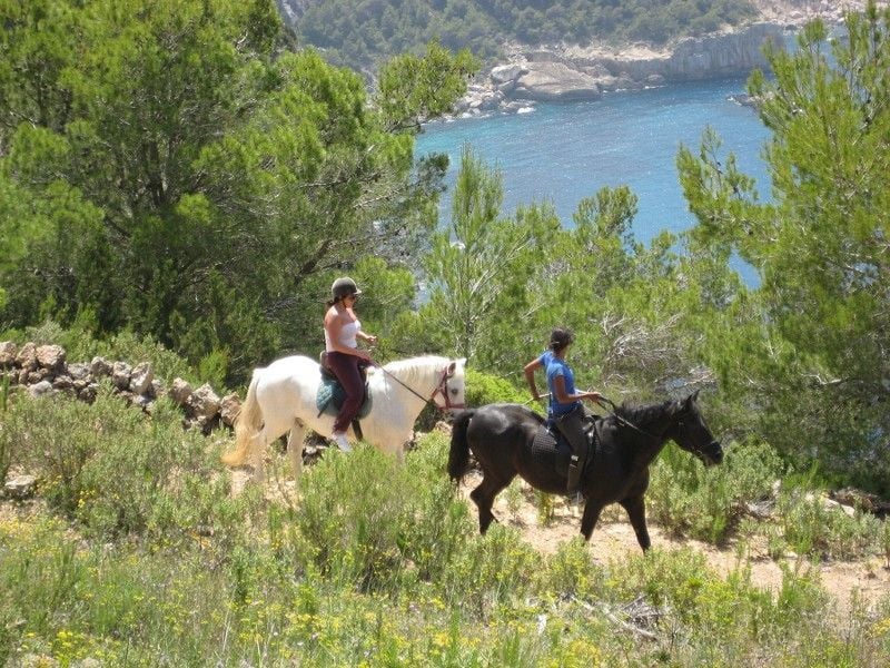 A serene horseback ride