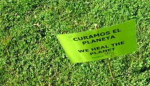 Cala Llonga Thursday Night Market