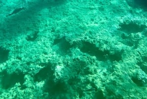 Cala Codolar : excursion en kayak sur mer et dans les grottes avec plongée avec tuba