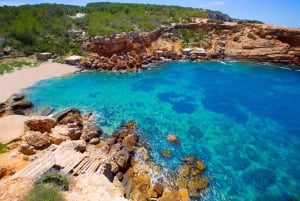 Scopri le spiagge di Ibiza su una barca senza patente 8H