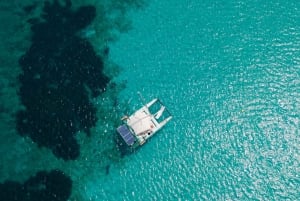 ECO Catamaran - Private Day Charters