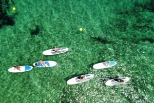 Es Figueral: Standup Paddleboarding Adventure