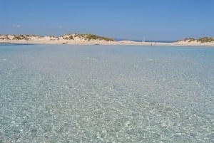 ESPALMADOR SNORKELINGSTUR FRA 15:45 TIL 19:30