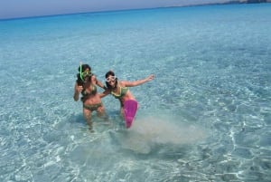 ESPALMADOR SNORKELINGSTUR FRA 15:45 TIL 19:30