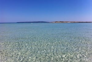 ESPALMADOR SNORKELINGSTUR FRA 15:45 TIL 19:30
